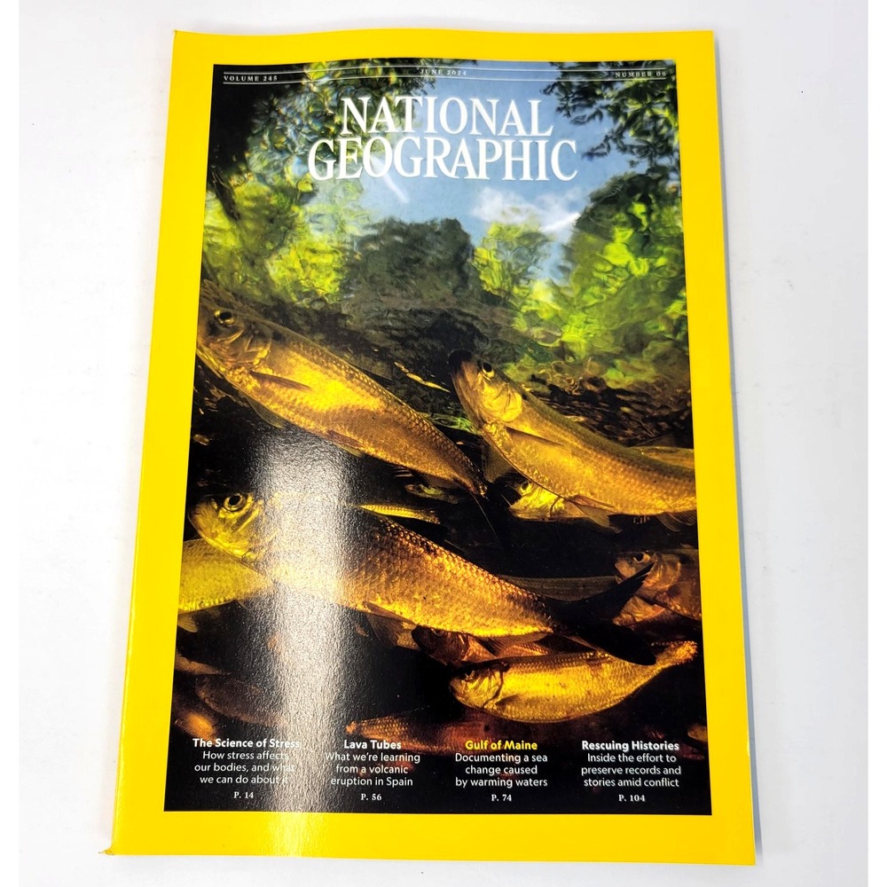 National Geographic Magazine Science Of Stress Gulf Of Maine Back Issue Nature
